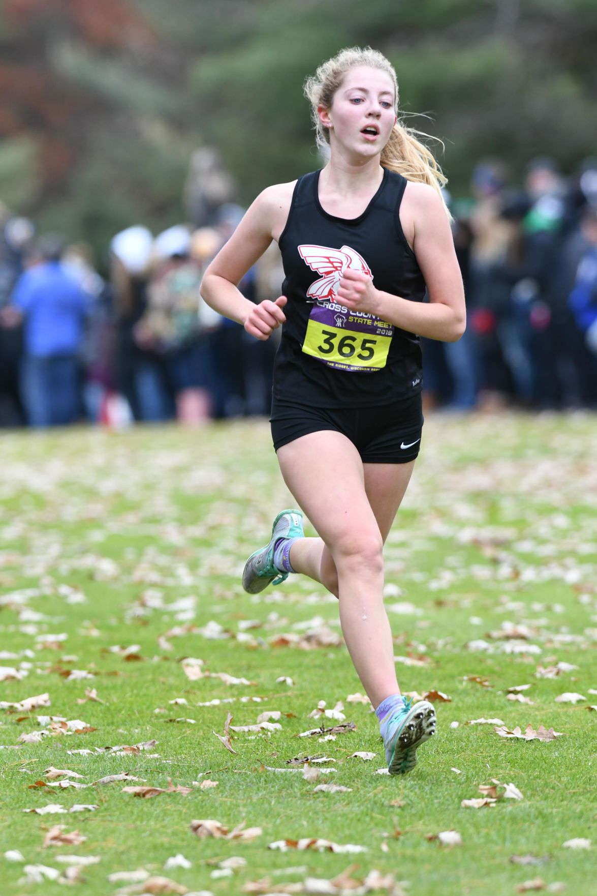 WIAA state cross country photo: Rhya Brandemuehl, Mount Horeb